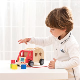 Shape sorting truck
